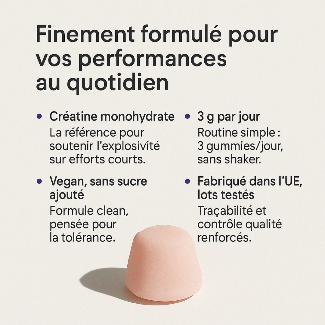 Suggy - Créatine Goût Fruits Rouges